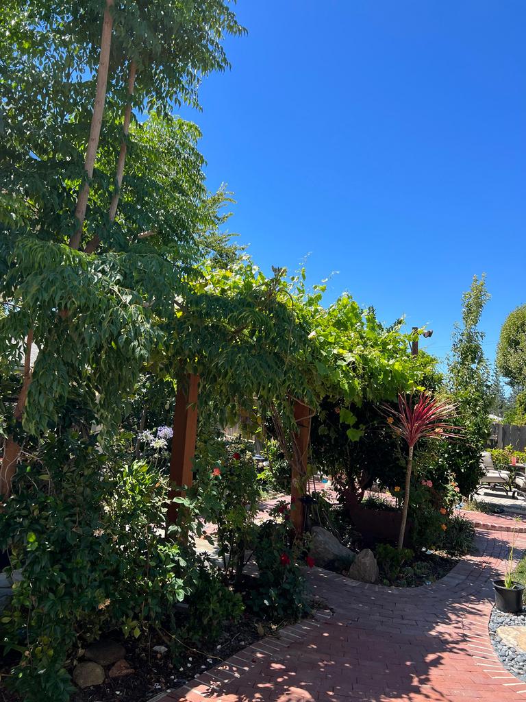  Walnut Creek Landscaping